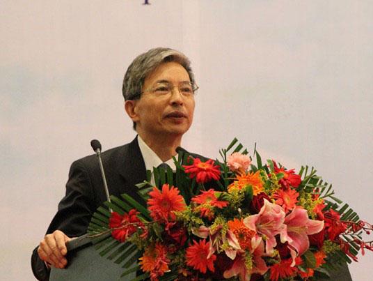 蔡国雄：提高新能源汽车产业的能源独立性