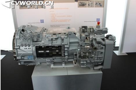 迈入新结婚时代 ZF-綦齿能否幸福？