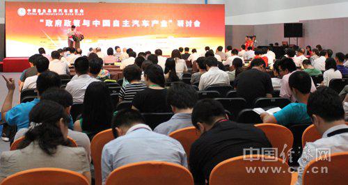 政府若不救市 自主品牌或难再获翻身